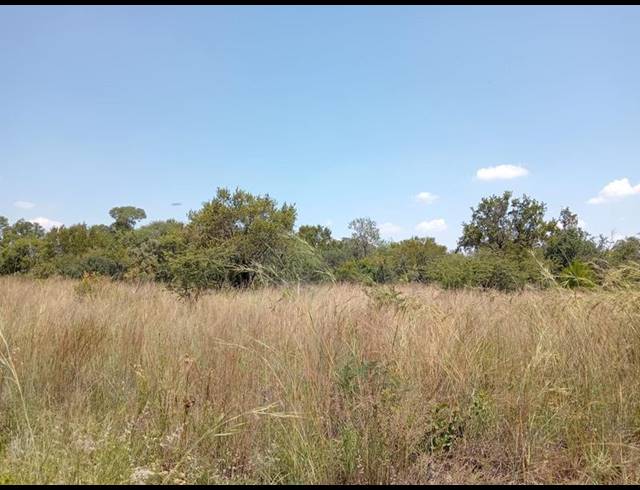 FARM FOR SALE IN DINOKENG GAME RESERVE